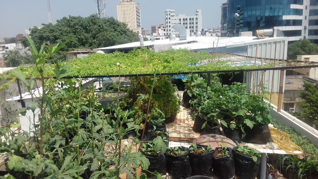 La Woods Hotel Chennai